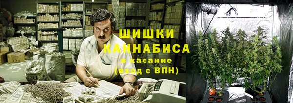 гидропоника Дедовск
