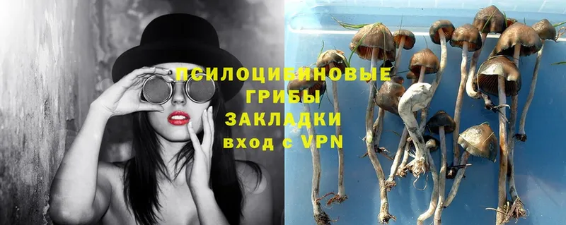 Галлюциногенные грибы Magic Shrooms  Полевской 