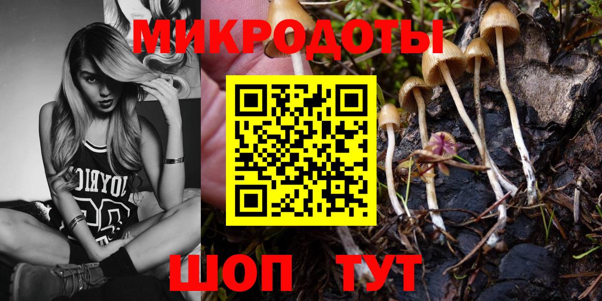 Псилоцибиновые грибы Cubensis  Псилоцибиновые грибы мицелий  Полевской 