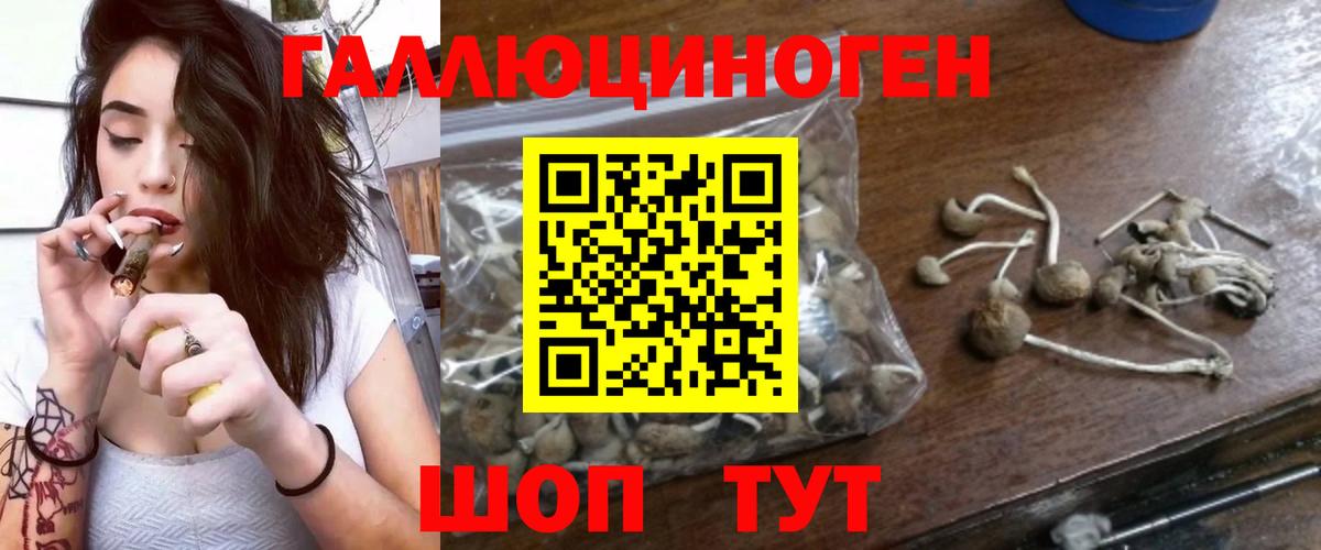 Полевской  Псилоцибиновые грибы Psilocybine cubensis  Вход с VPN  Галлюциногенные грибы мицелий 